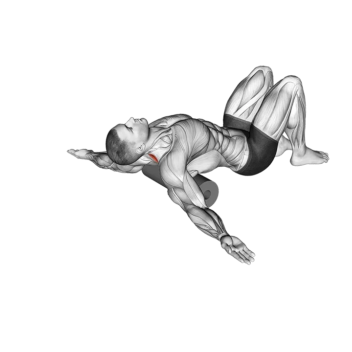 Roll Erector Spinae Lying on Floor exercise animation (Hombre)