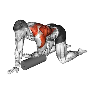 Roll Kneeling Upper Back Rotation