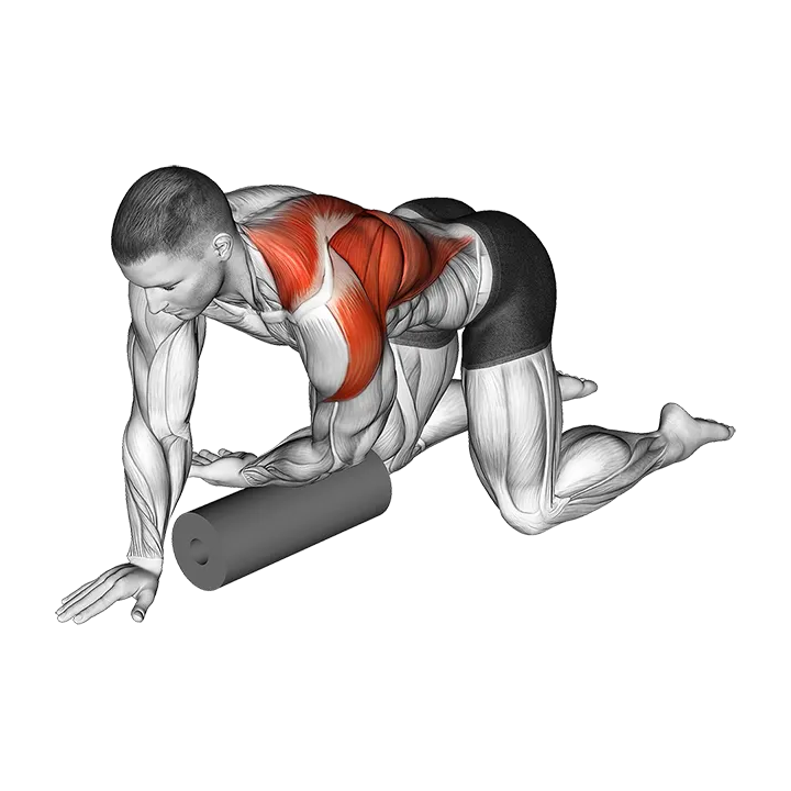 Roll Kneeling Upper Back Rotation exercise animation (Male)