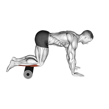 Roll Tibialis Anterior