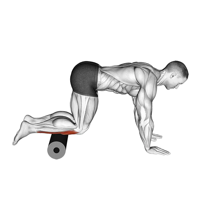 Roll Tibialis Anterior exercise animation (Male)
