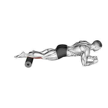Roll Tibialis Anterior (Single Leg) Lying on Floor