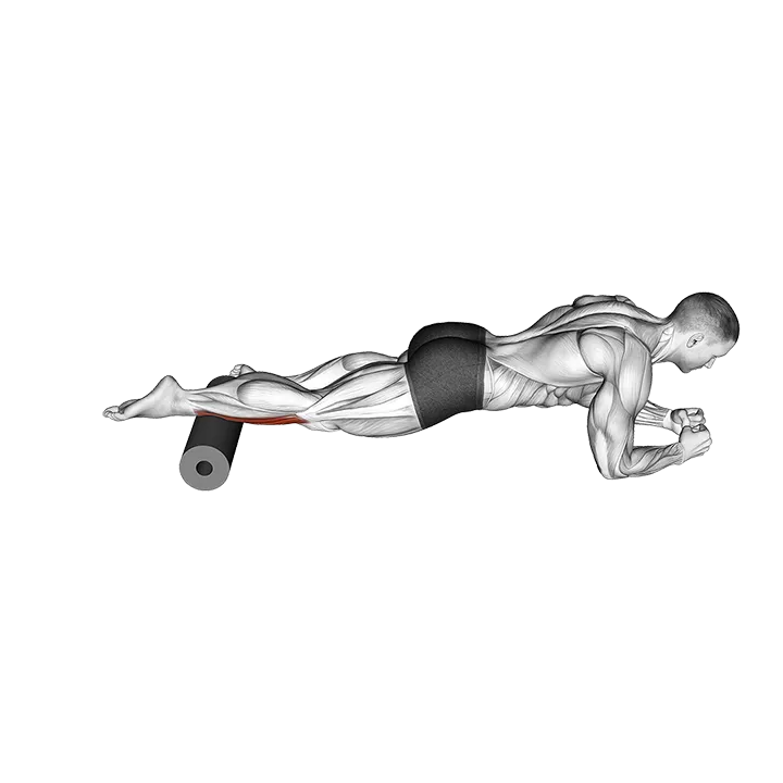 Roll Tibialis Anterior (Single Leg) Lying on Floor exercise animation (Male)