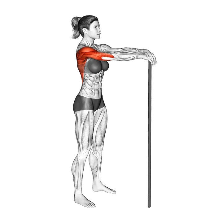 Stick Lat Stretch exercise animation (Mujer)