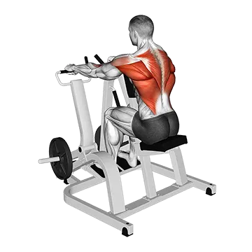 Lever Pronated Grip Seated Row (plate loaded)