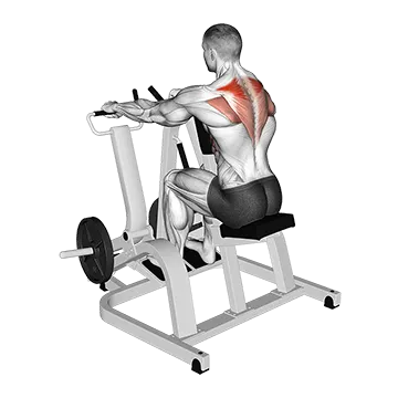 Lever Pronated Grip Seated Scapular Retraction Shrug (plate loaded)