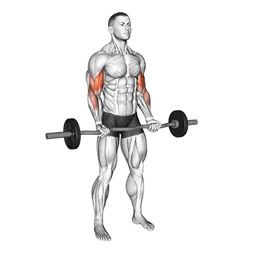EZ-bar 21s