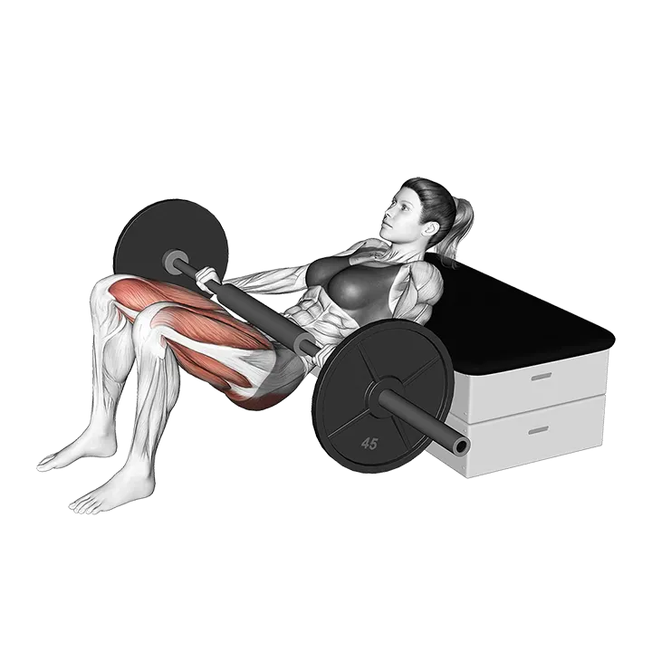 Barbell KAS Glute Bridge exercise animation (Female)