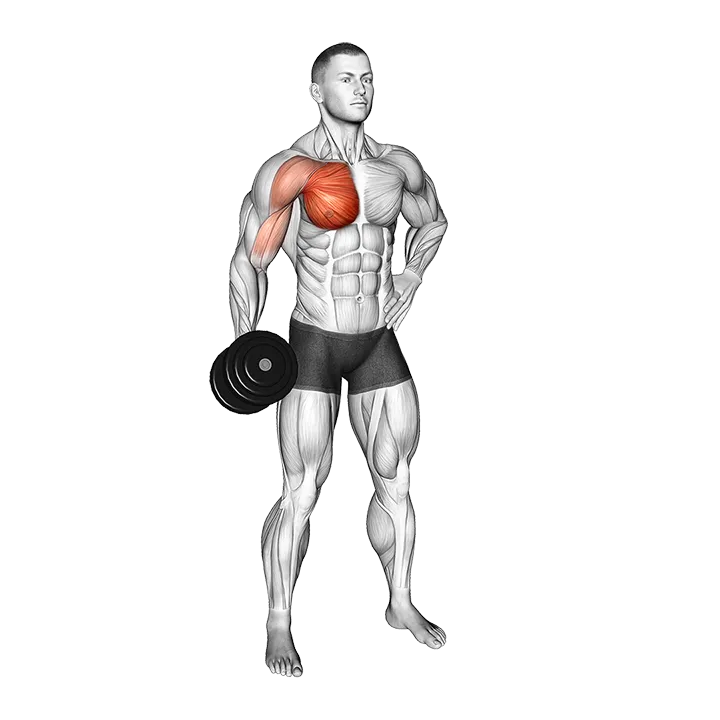 Dumbbell Standing Single Arm Cross Raise exercise animation (Male)