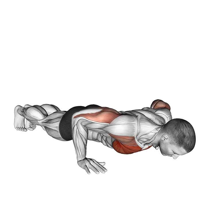 Explosive Push-up exercise animation (Male)