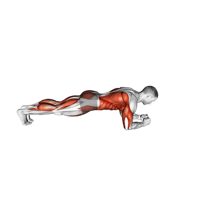 Front Plank with Arm and Leg Lift exercise animation (Male)