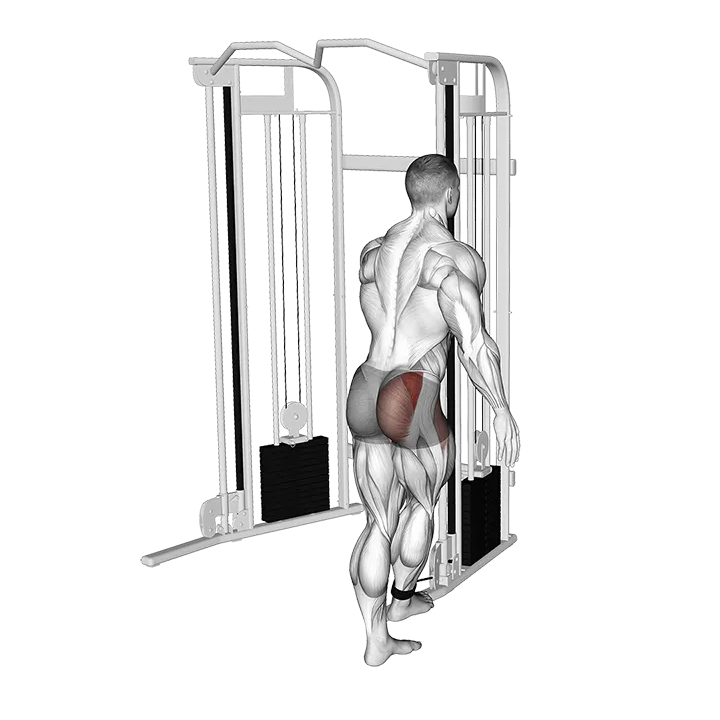 Cable Medius Kickback exercise animation (Male)