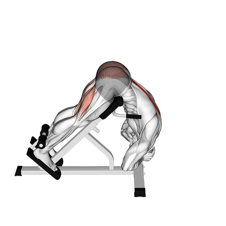 Rounded Back Extension exercise animation (Male)