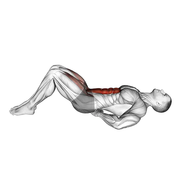 Lying Bent Legs Raise exercise animation (Male)