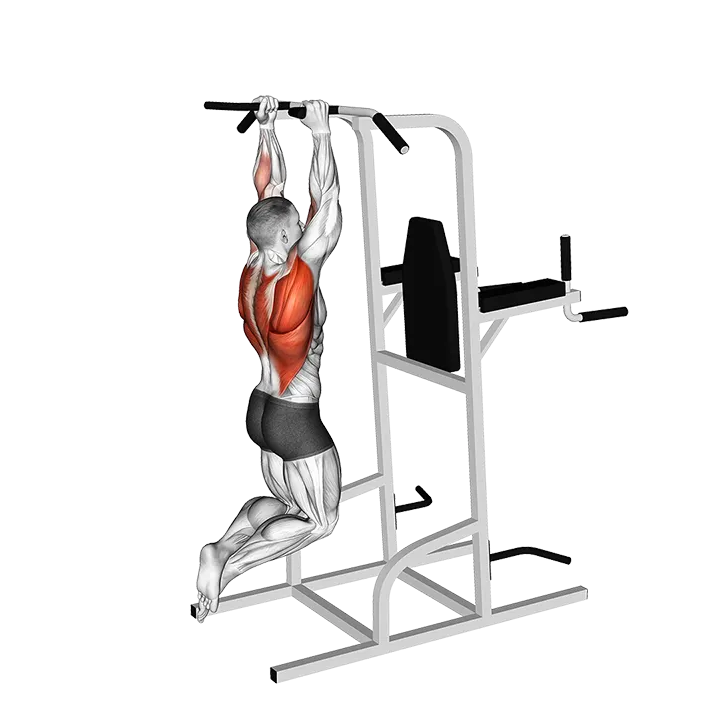 Shoulder Width Neutral Grip Pull-up exercise animation (Male)