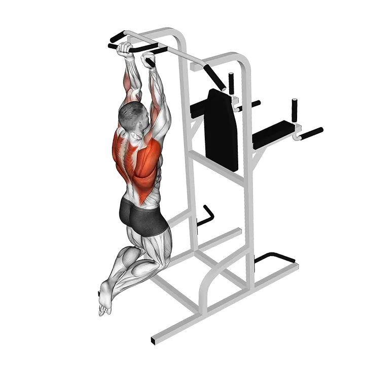 Supinated Narrow Grip Pull-up exercise animation (Male)