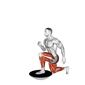 High Knee Lunge on Bosu Ball