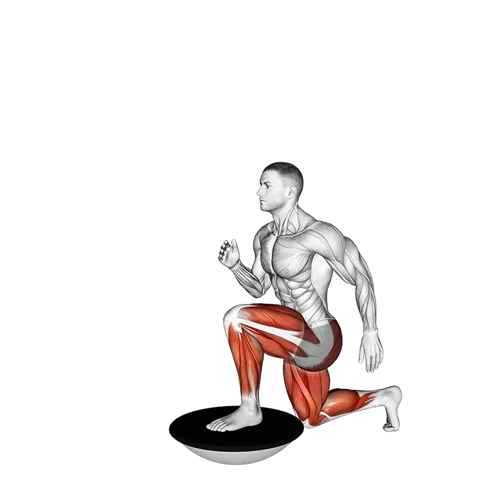High Knee Lunge on Bosu Ball exercise animation (Male)