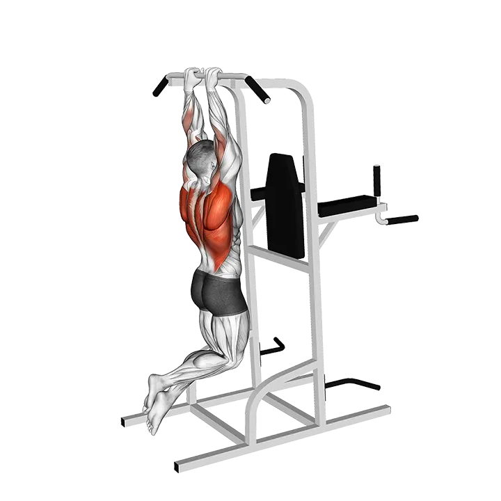 Close Grip Pull-Up exercise animation (Male)