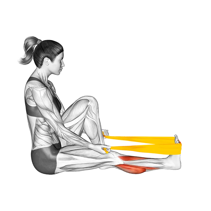 Resistance Band Seated Calf Stretch exercise animation (Female)