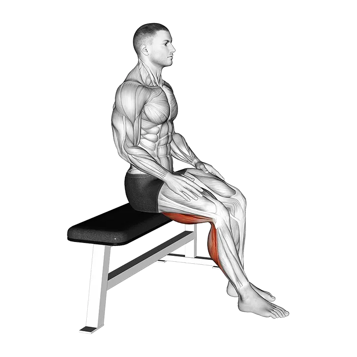 Seated Foot Slide exercise animation (Male)