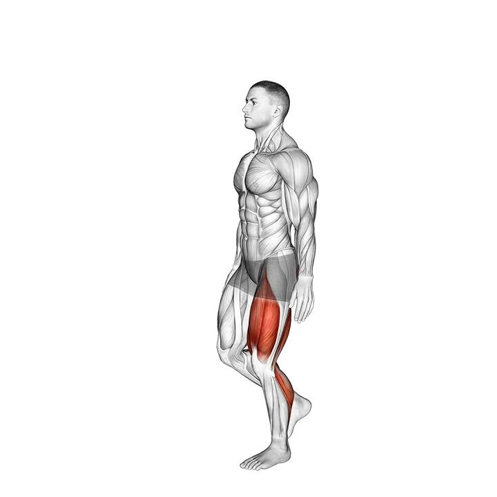 Single Leg Hopping exercise animation (Male)