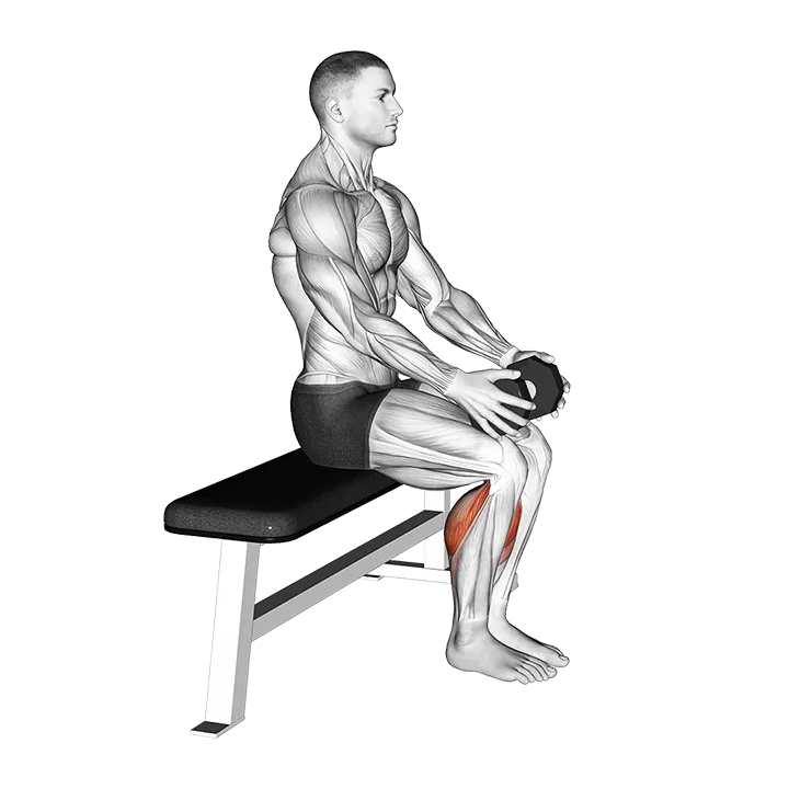 Weighted Seated Calf Raise (VERSION 2) exercise animation (Male)