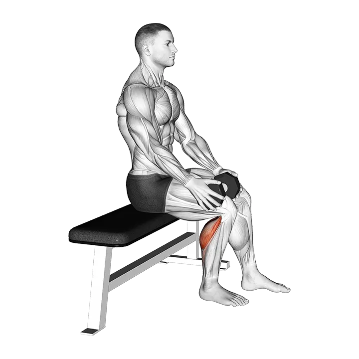 Weighted Seated Single Calf Raise (VERSION 2) exercise animation (Male)