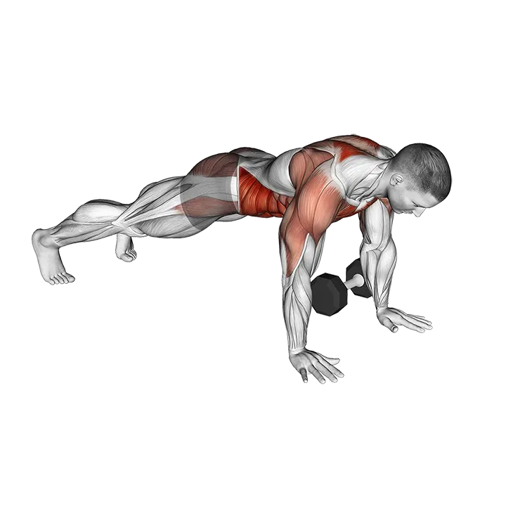 Dumbbell Plank Pass Through exercise animation (Male)