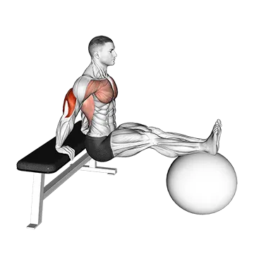 Bench Dip on Stability Ball