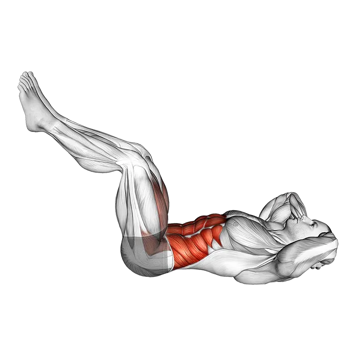 Twist Crunch (Legs Up) exercise animation (Male)