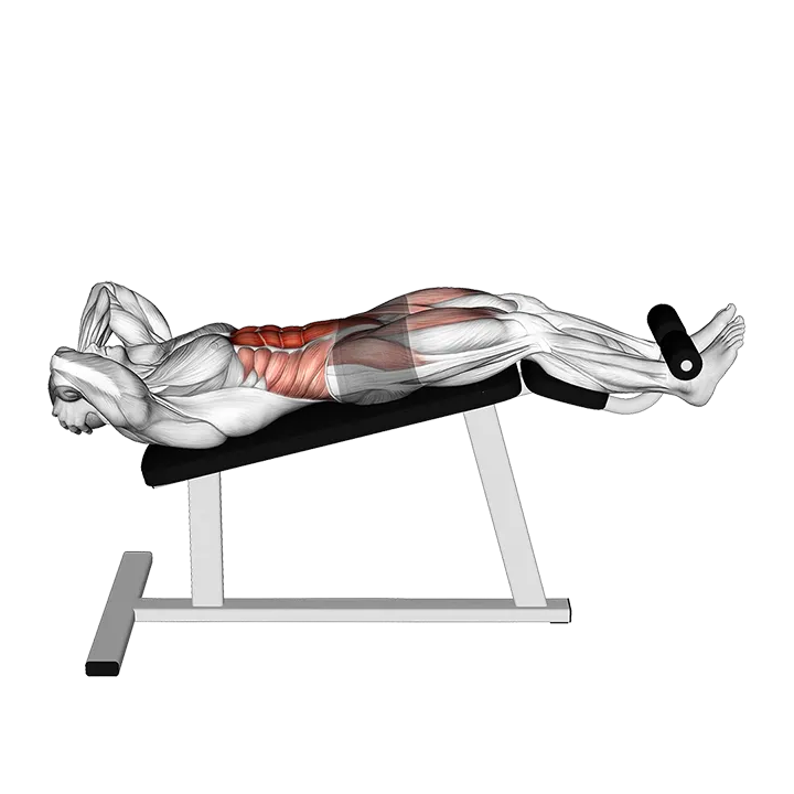 Decline Sit-Up (VERSION 3) exercise animation (Male)
