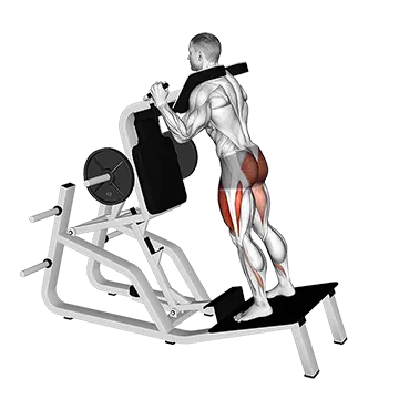 Lever Reverse Vertical Hack Squat