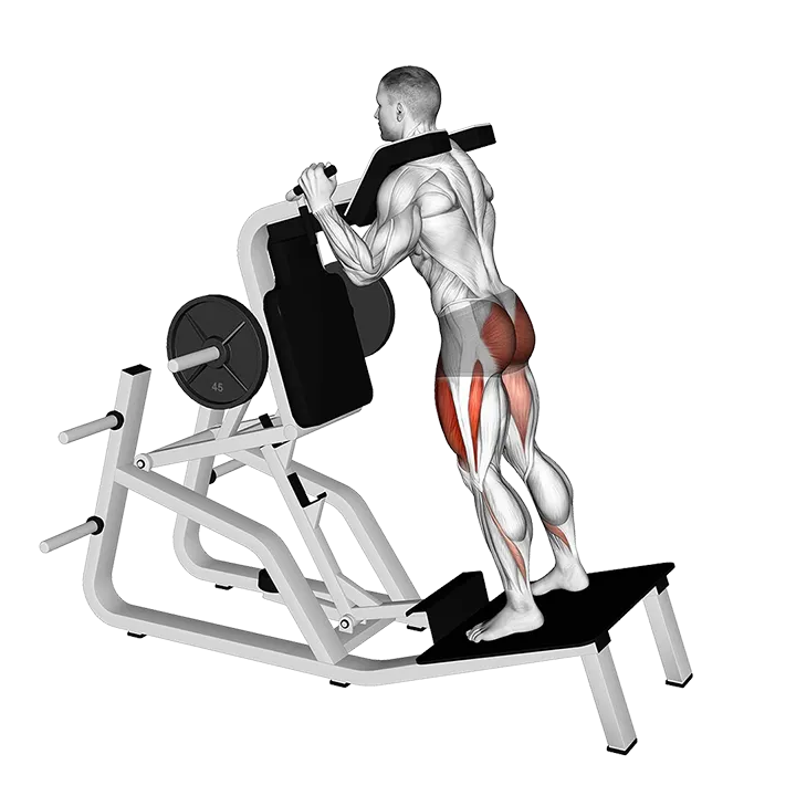 Lever Reverse Vertical Hack Squat exercise animation (Male)