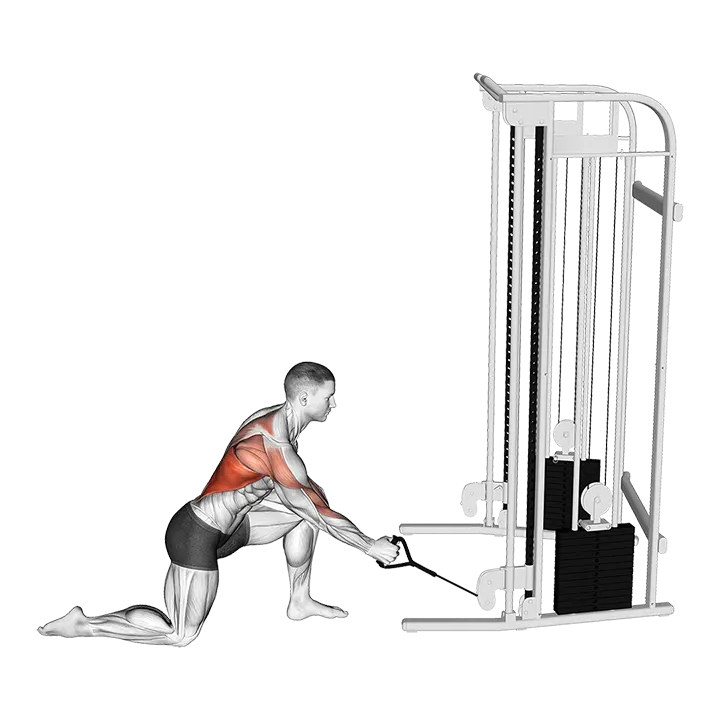 Cable Kneeling Leaning Forward One Arm Row exercise animation (Male)