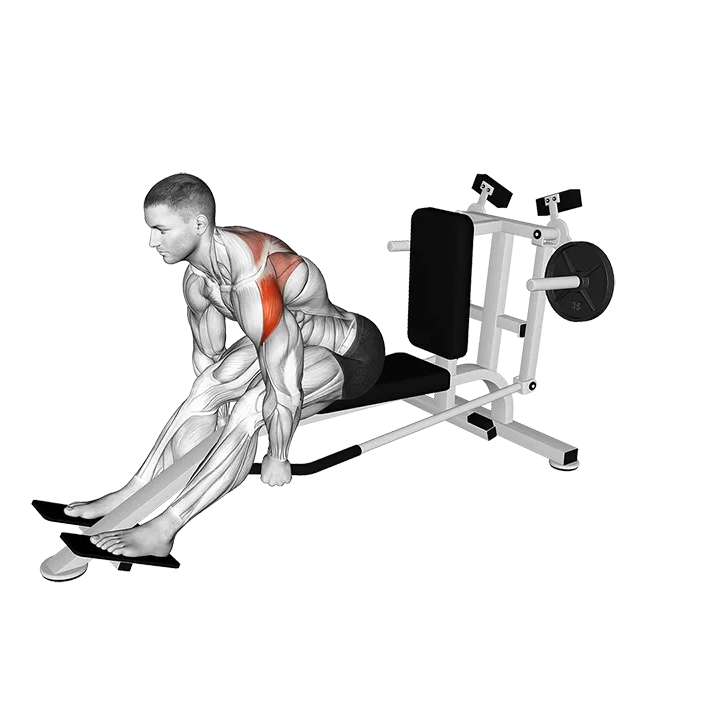 Lever Seated Bent Over Rear Delt Fly exercise animation (Male)