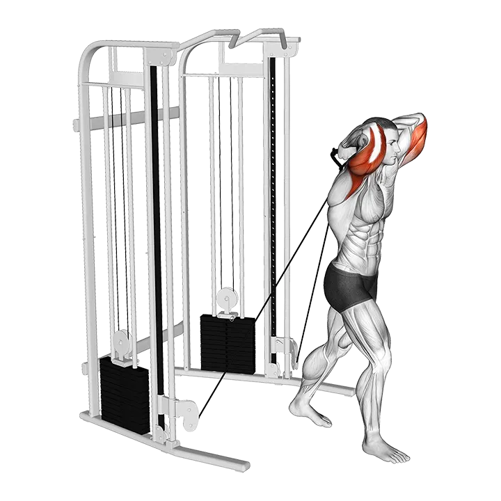 Cable Standing Crossover Overhead Tricep Extension exercise animation (Male)