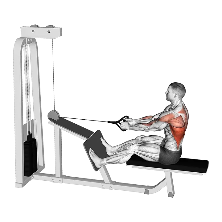 Cable Seated Lats Focused Row exercise animation (Male)