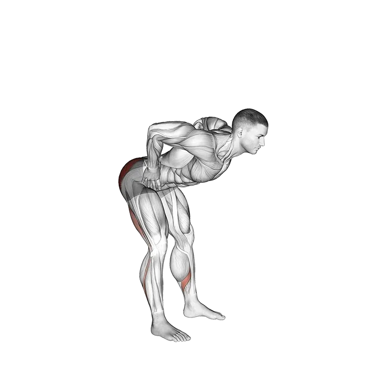 Bodyweight Good Morning exercise animation (Male)
