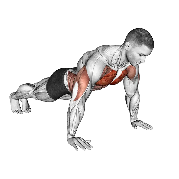 Negative Push-up exercise animation (Male)