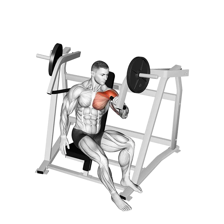 Lever One Arm Incline Chest Press (plate loaded) exercise animation (Male)