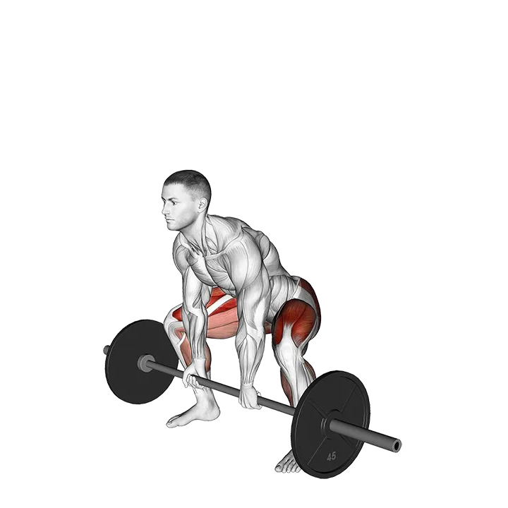 Barbell Paused Sumo Deadlift exercise animation (Male)
