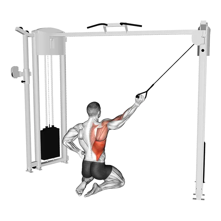 Cable Kneeling Single Lat Pulldown exercise animation (Male)