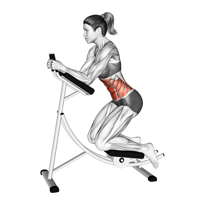 Lever Ab Coaster Crunch exercise animation (Female)