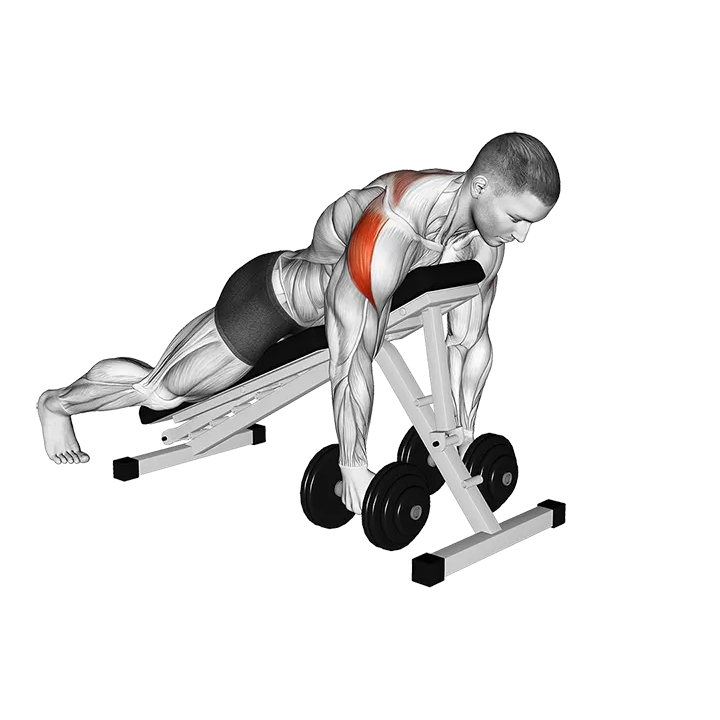 Dumbbell Prone Rear Delt Swing exercise animation (Male)
