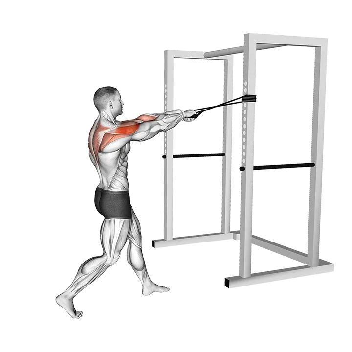 Band Face Pull exercise animation (Male)