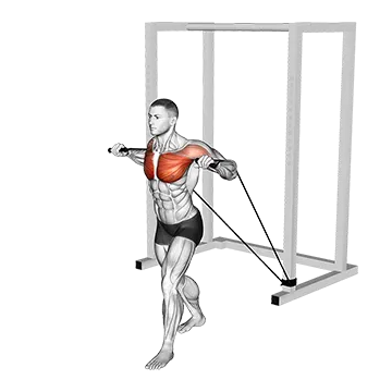 Band Standing Chest Press (VERSION 2)