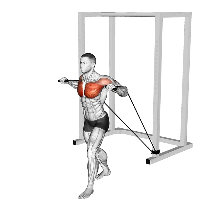Band Standing Chest Press (VERSION 2) exercise animation (Male)