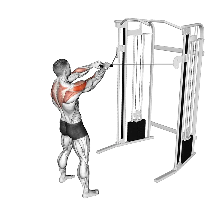 Cable Standing Face Pull exercise animation (Male)
