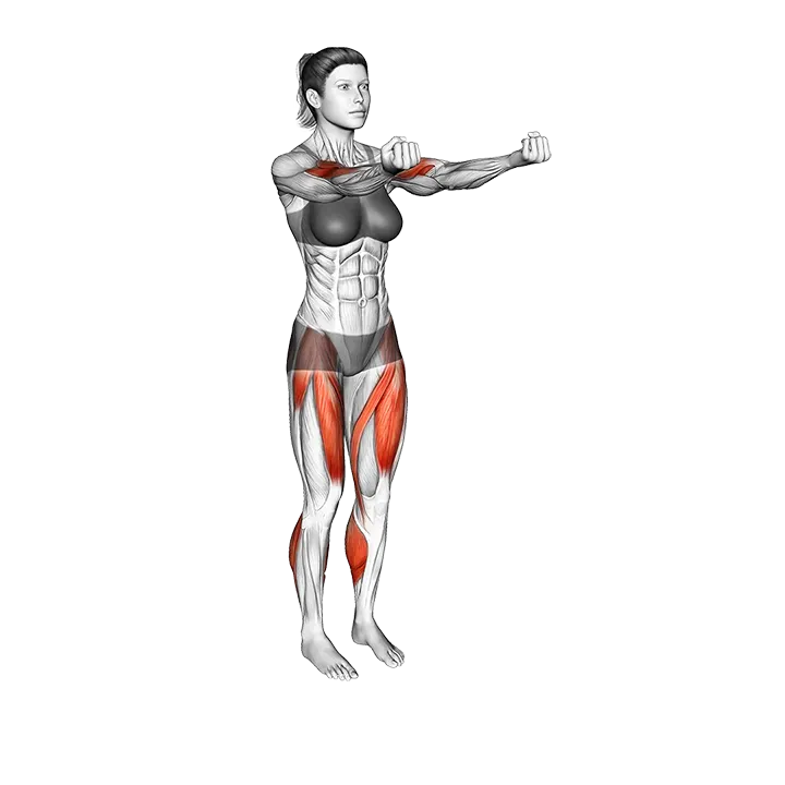Biceps Curl Front Step exercise animation (Female)